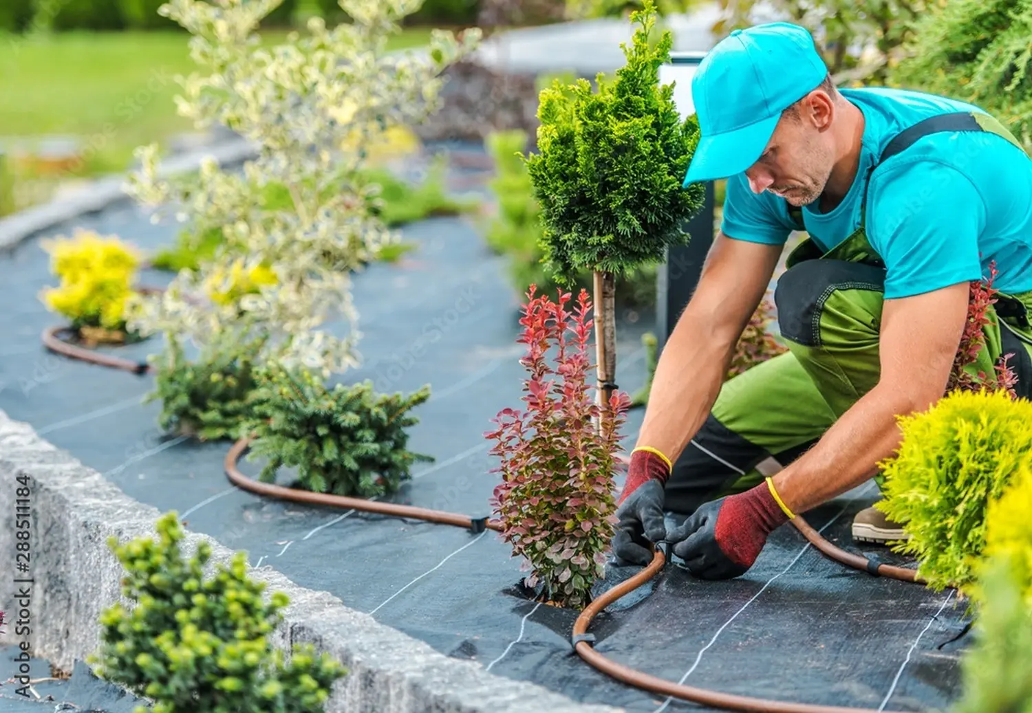 Garten- und Landschaftsbau von ALMA Bauservice & Gebäudemanagement 