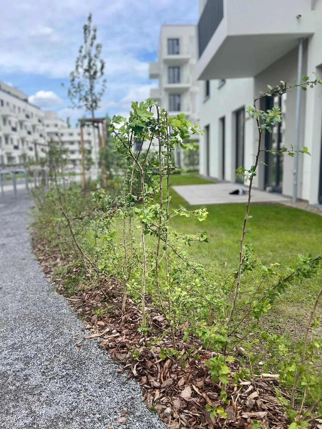 Garten- und Landschaftsbau von ALMA Bauservice &  Gebäudemanagement